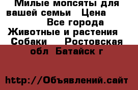 Милые мопсяты для вашей семьи › Цена ­ 20 000 - Все города Животные и растения » Собаки   . Ростовская обл.,Батайск г.